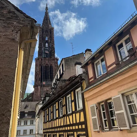 Appartamento Nid Douillet Au Calme, A 2 Pas De La Cathedrale Strasburgo Esterno foto
